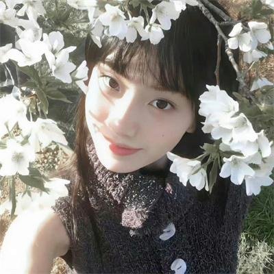 爱与梦飞翔